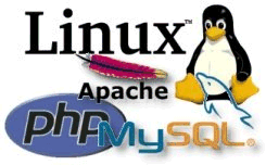 We use the PHP / Apache / Linux / Mysql server environment
